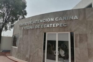 Letras de Aluminio natural