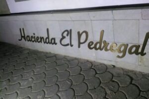 Letras de pvc y Aluminio