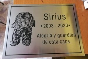 WhatsApp Image 2021-01-06 at 6.07.25 PM (2)