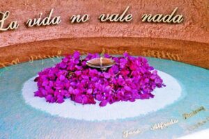 WhatsApp Image 2022-11-01 at 4.32.28 PM