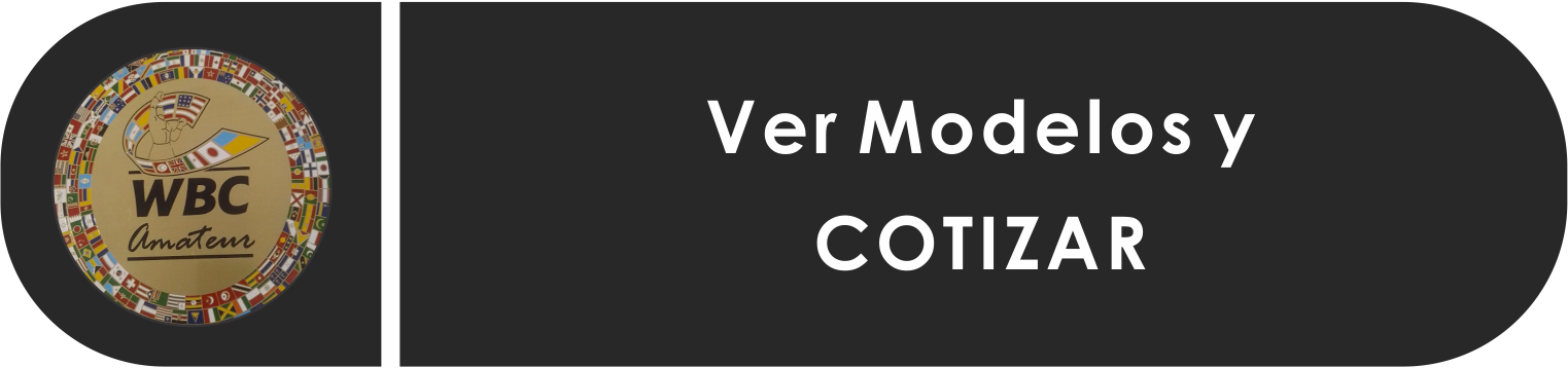 Ver Modelos